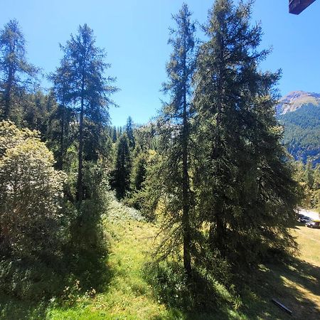 Le Lodge Des Marmottes - Calme, Cosy, Vue Nature Les Orres Ngoại thất bức ảnh
